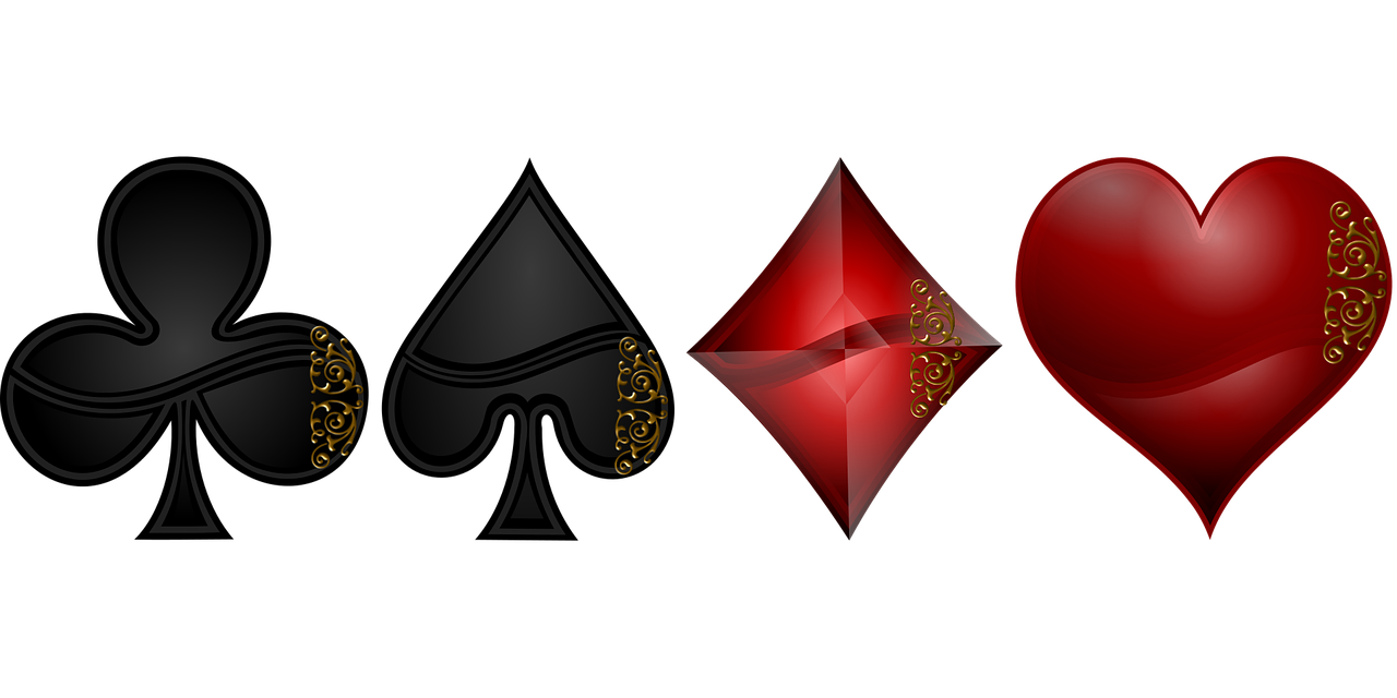 张鹤瑶最新动态与成就概览