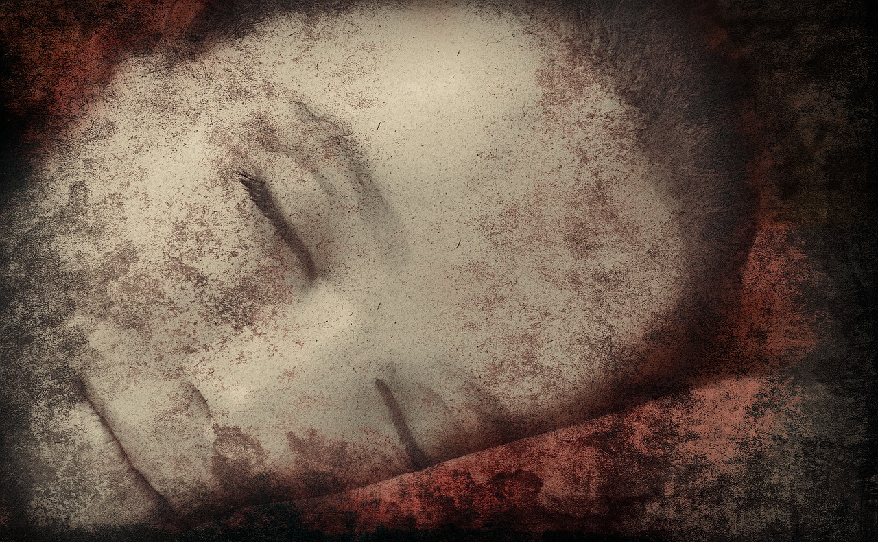 最新月亮片,时尚魅力与实用价值的探索