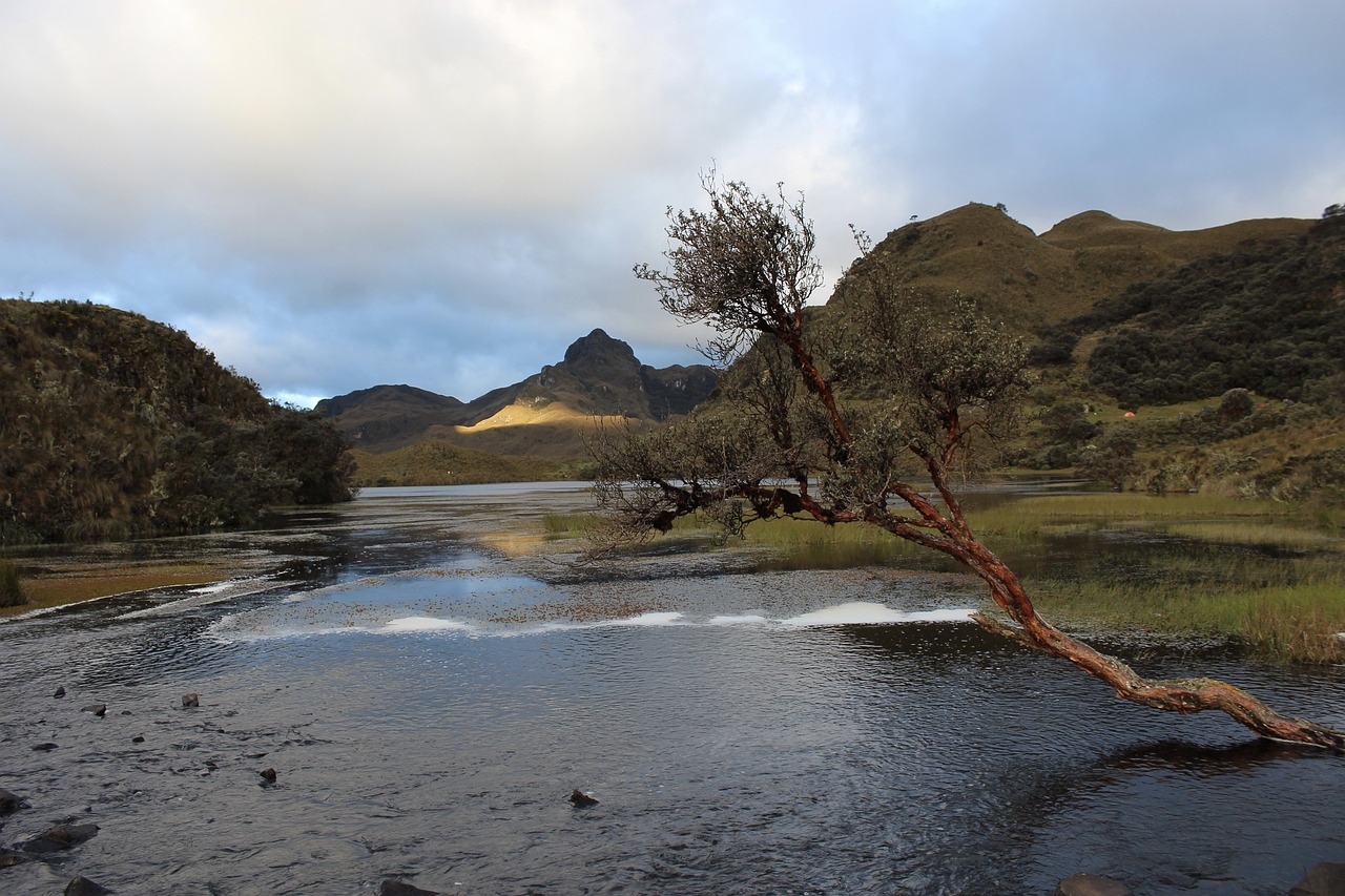 最新出省游，探索未知边界，领略多彩中国