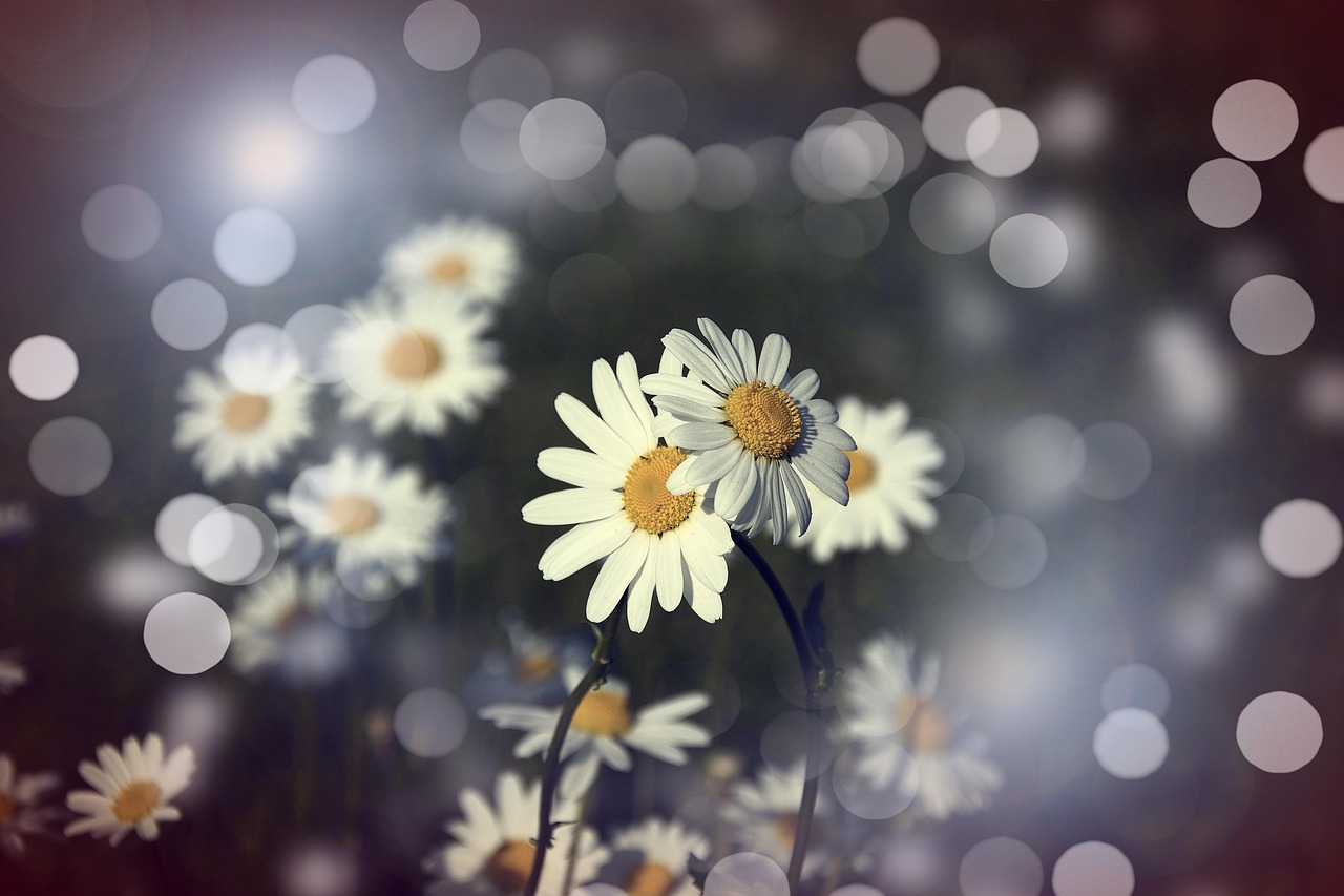 最新救人感人瞬间，生命之光闪耀的时刻