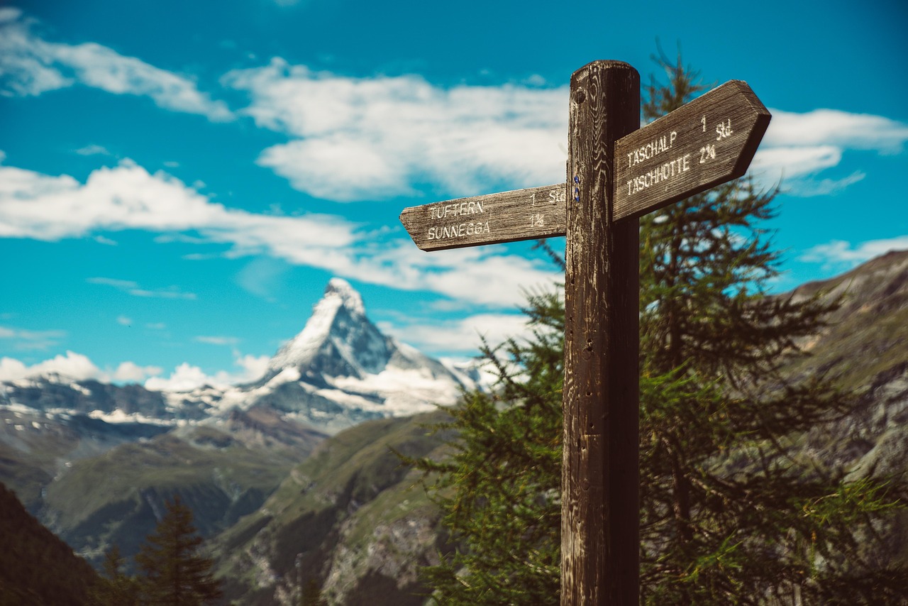 东莞积分制度最新动态，深度解读积分制度更新内容