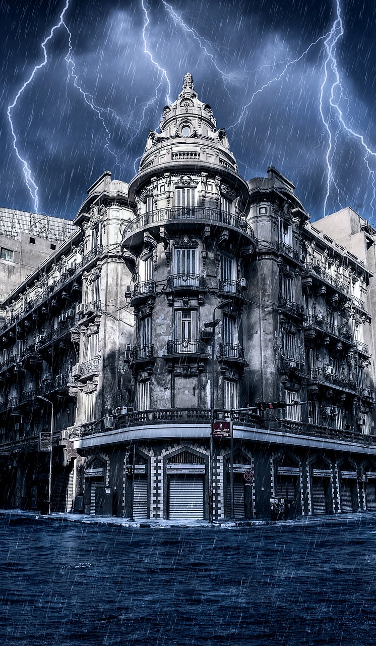 开罗最新事件,城市变革与社会动态观察报道