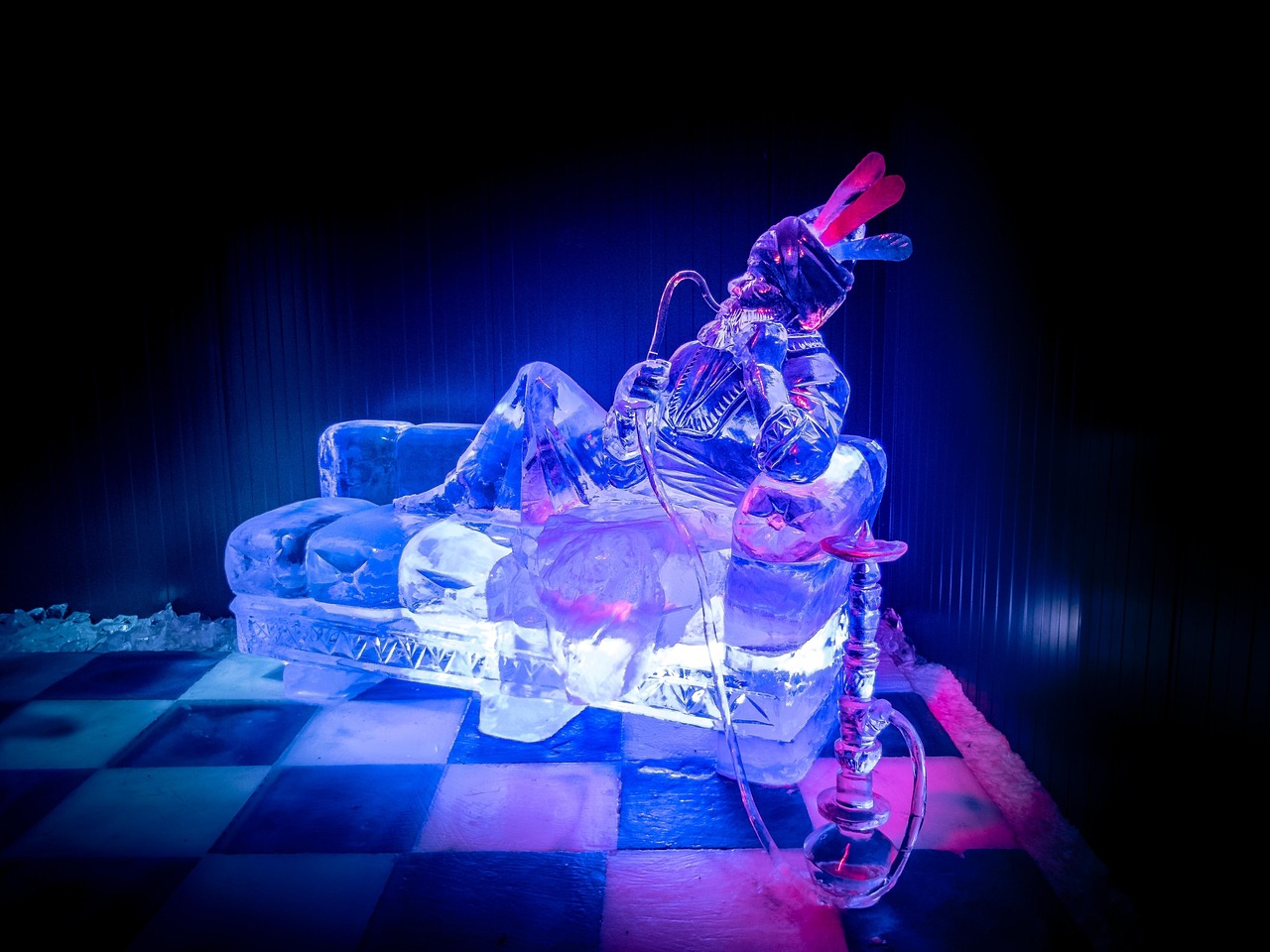 超级全能学生最新动态,引领学术风潮,展现新时代风采