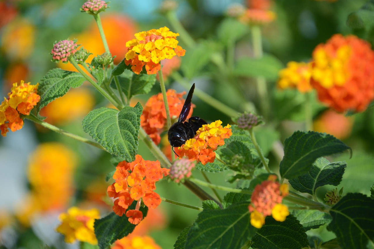 庞楼最新动态,庞楼最新事