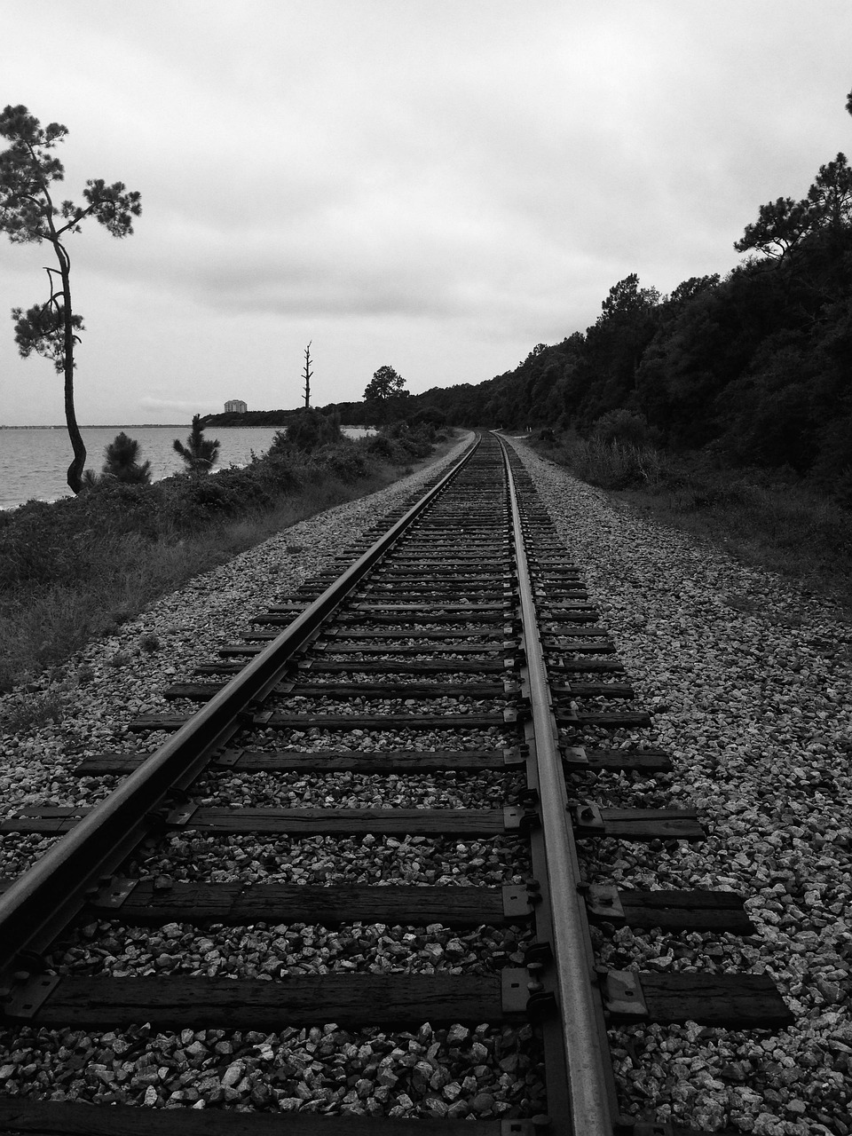 最新广没情,探索与反思之路