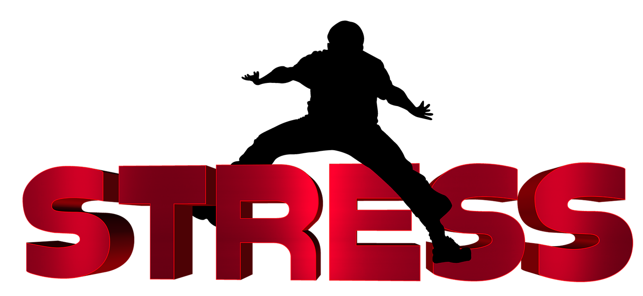 湖北暴雨来袭,全力应对挑战的最新信息