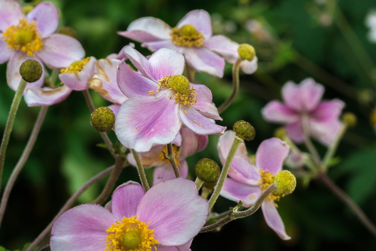 湖人交易最新动态，重塑王朝，蓄势待发启航新征程