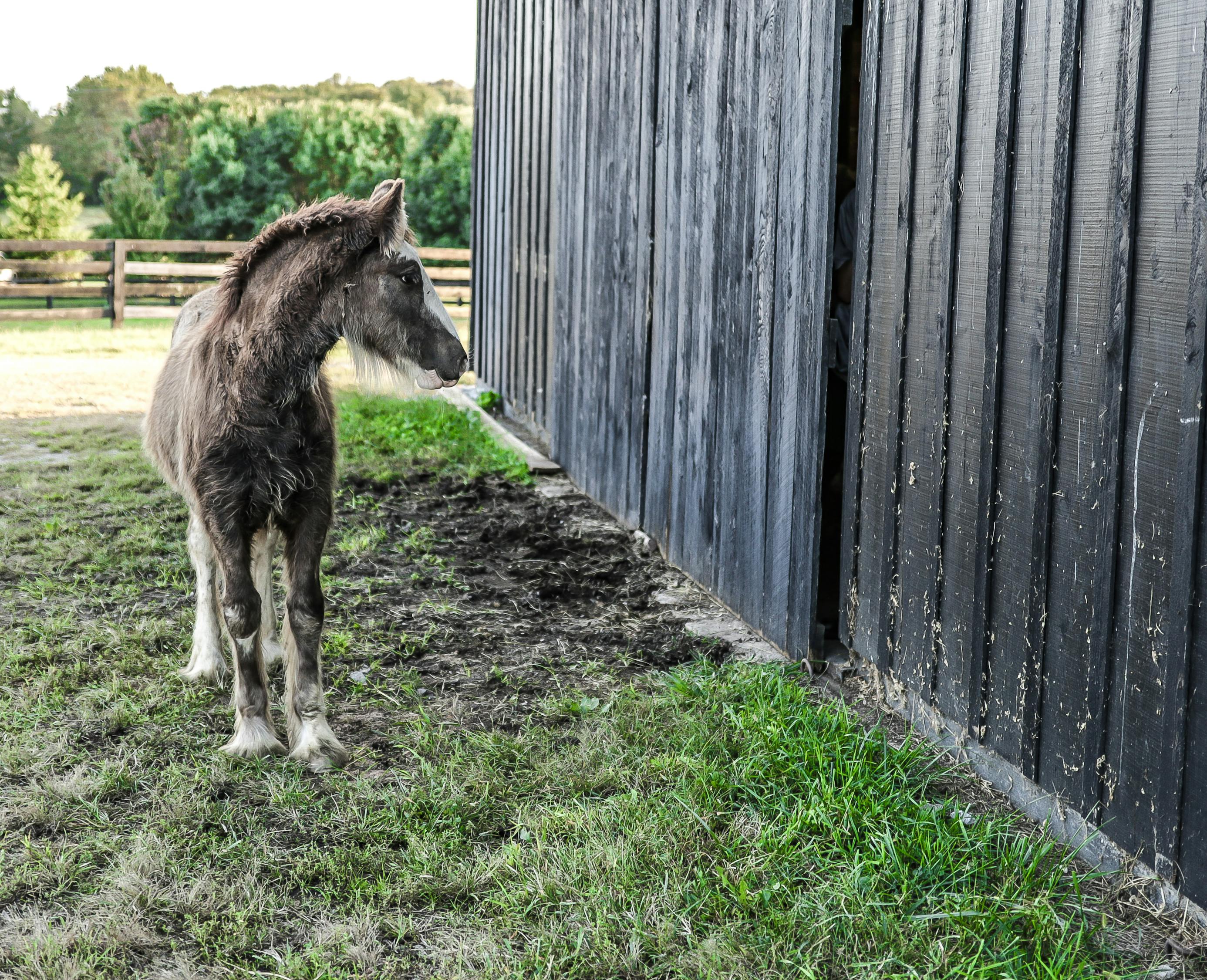泰剧怀孕最新动态，剧情深度与人物情感的交织展现