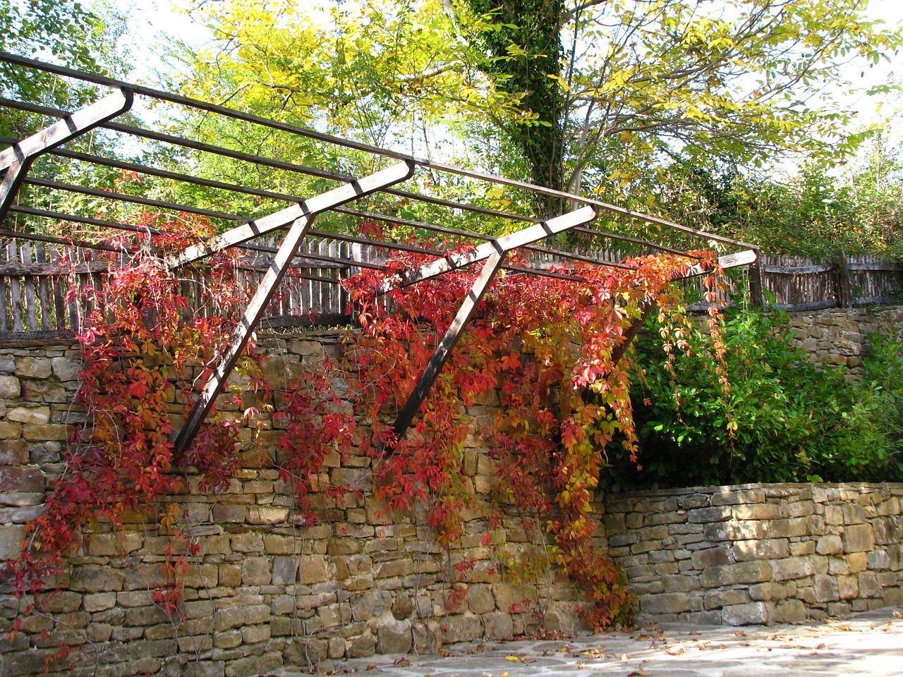 健康路夜市最新动态，繁华再现，活力四溢的夜晚