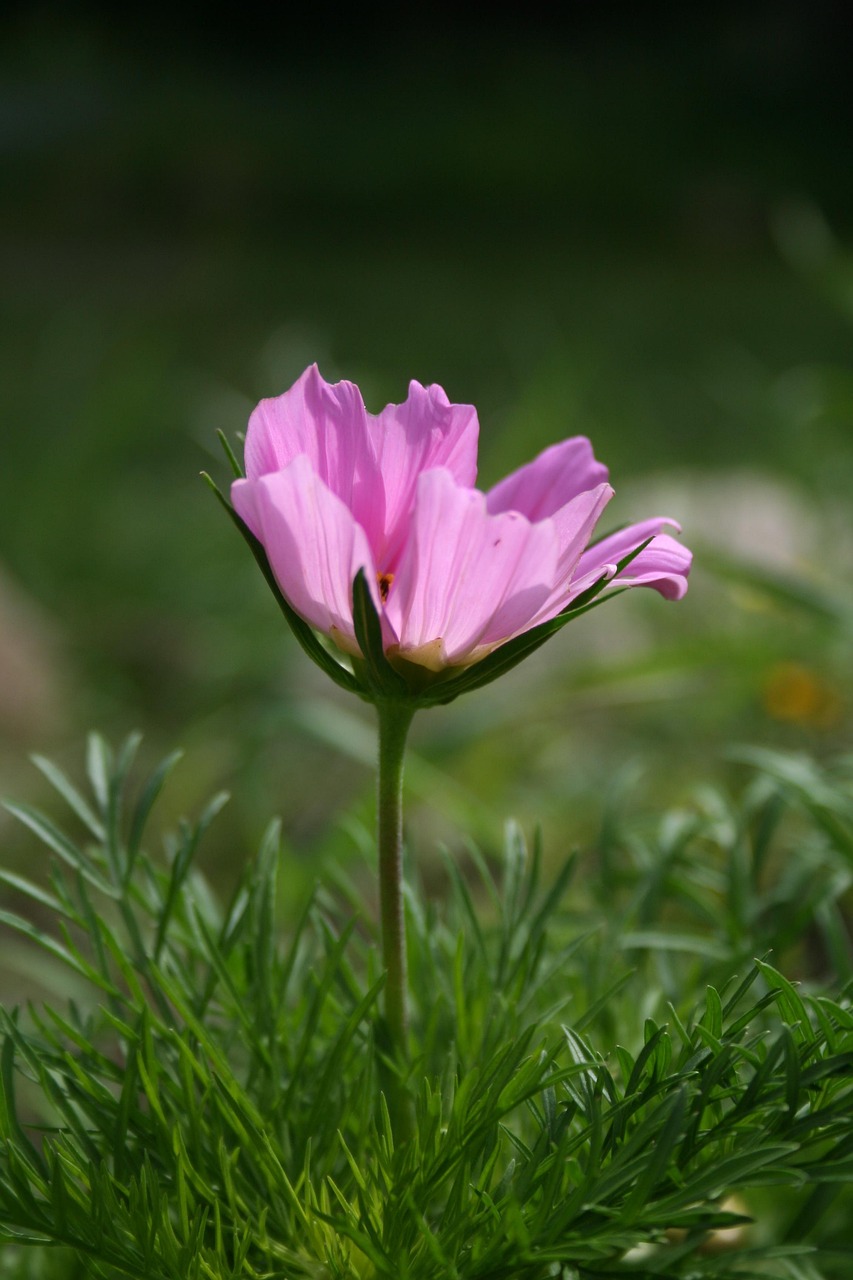 黑洞最新动态揭秘,宇宙未知领域的突破性进展探索