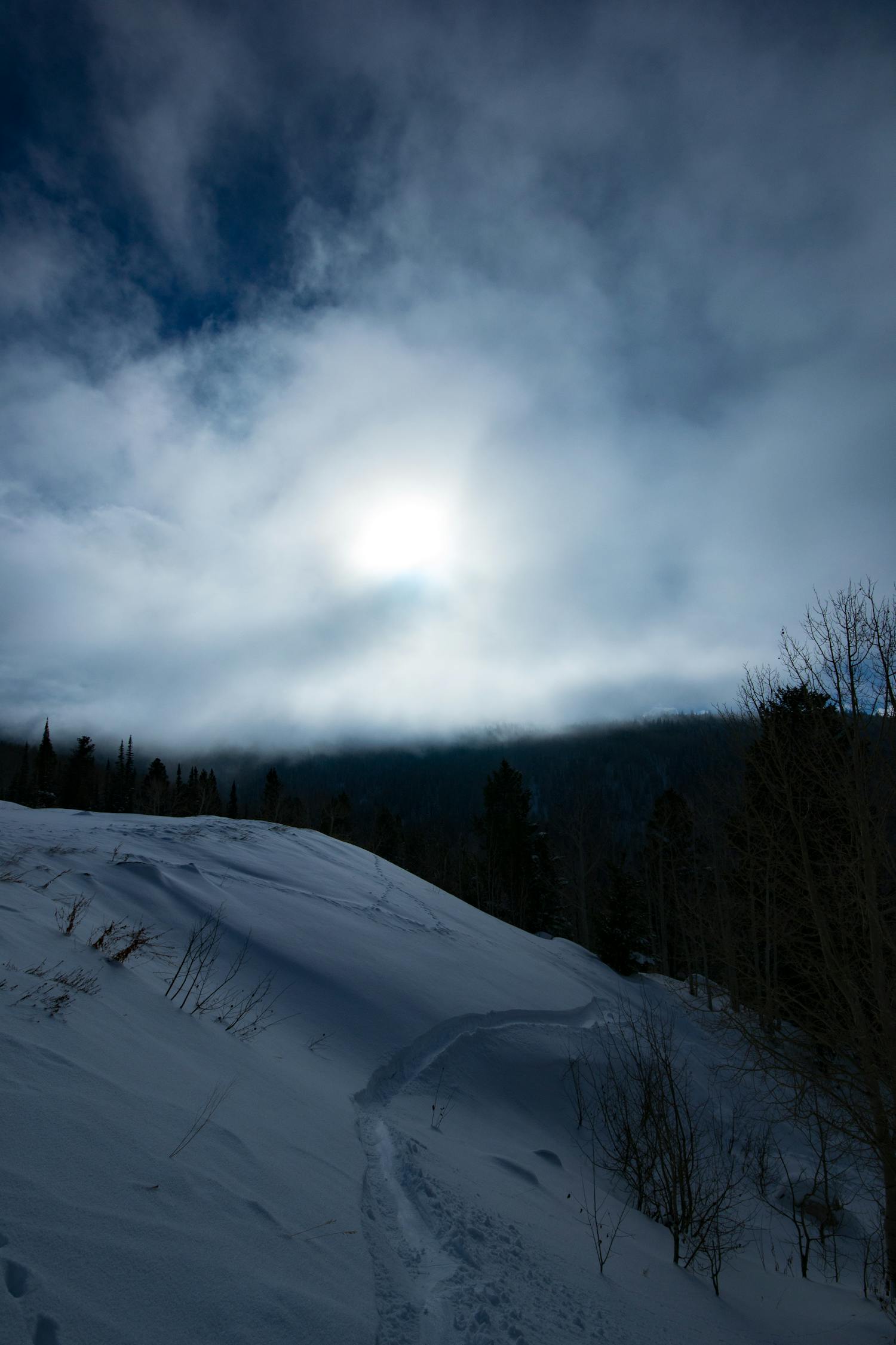 川西最新下雪,雪落人间,美景如画尽收眼底