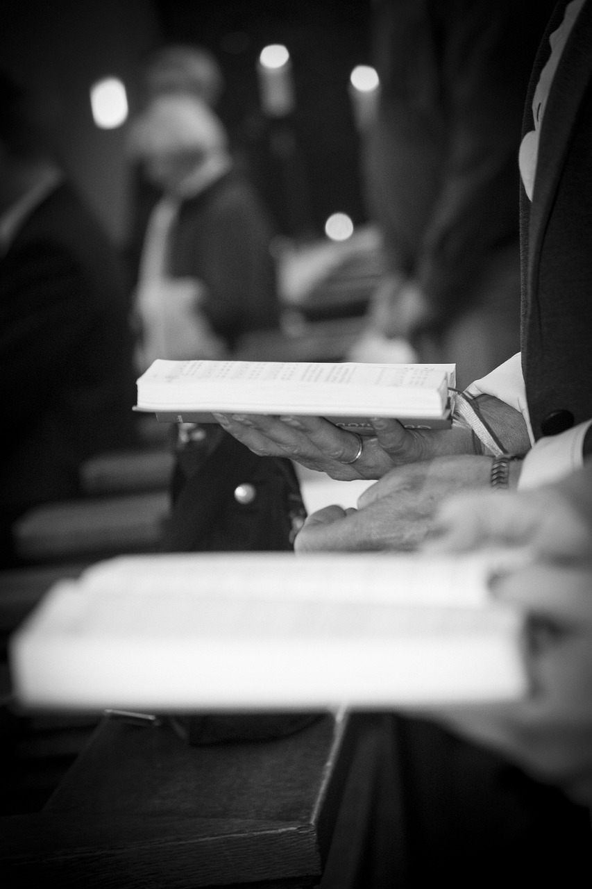 闲鱼图书最新动态，探索二手书市场全新面貌的发展