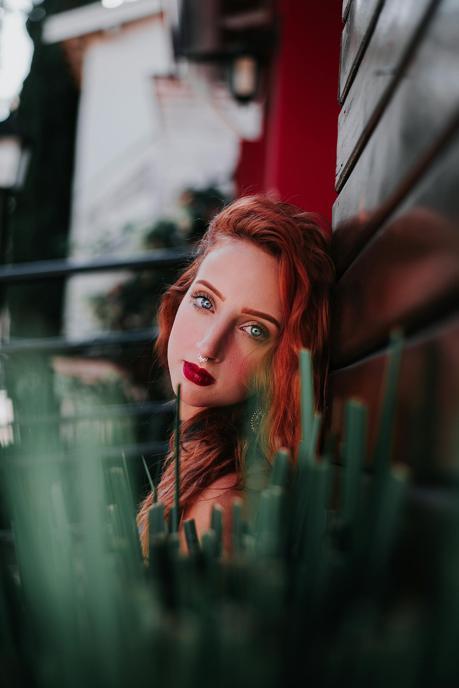 最新追剧天堂,影视世界的魅力探索