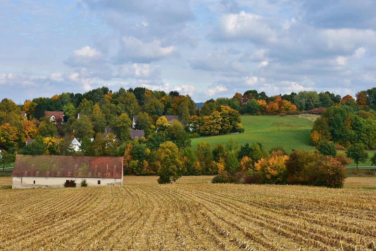 山西病患康复最新动态，希望之光照亮出院之路