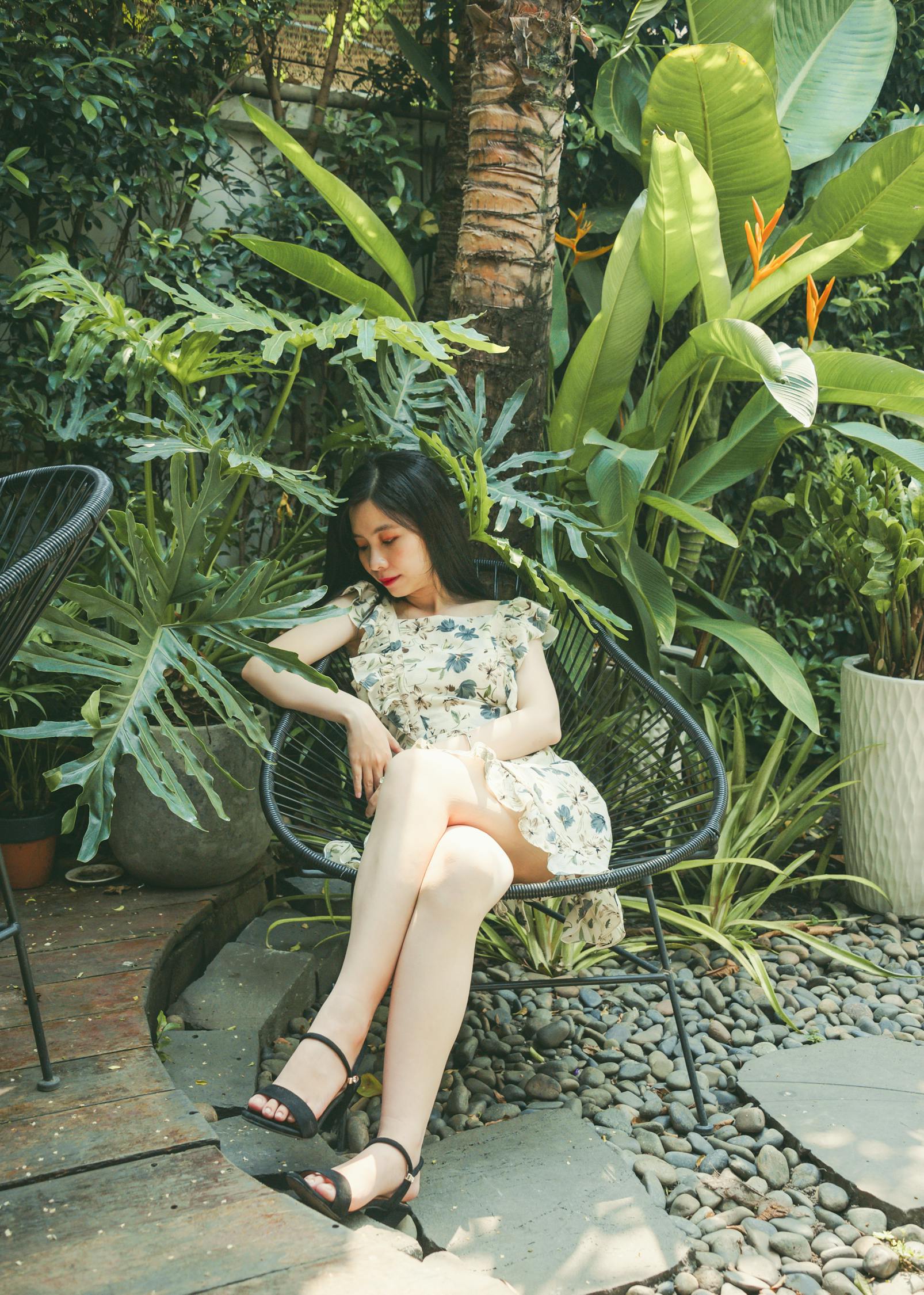 最新热播网剧探究成功背后的秘密