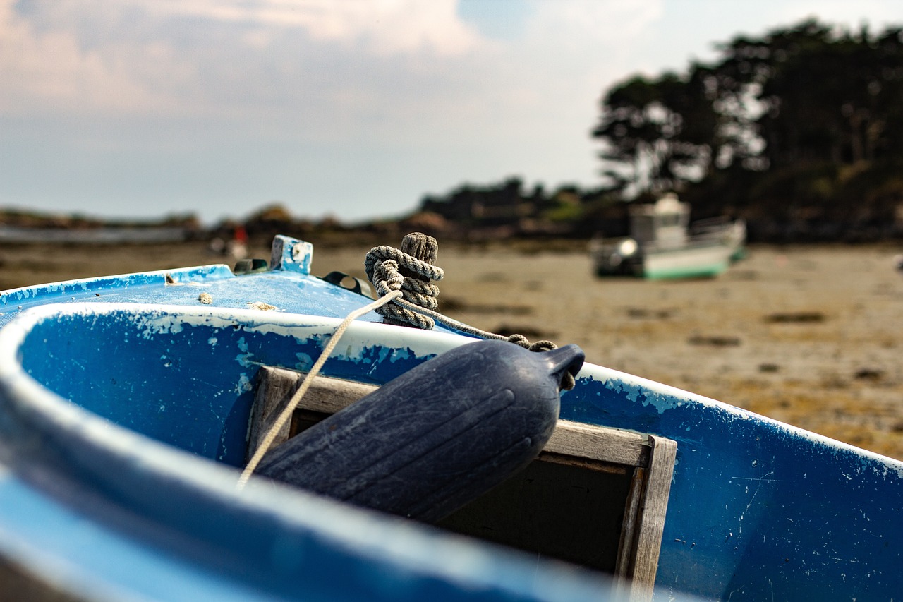 上海疫情防控最新动态,积极应对,科学防控