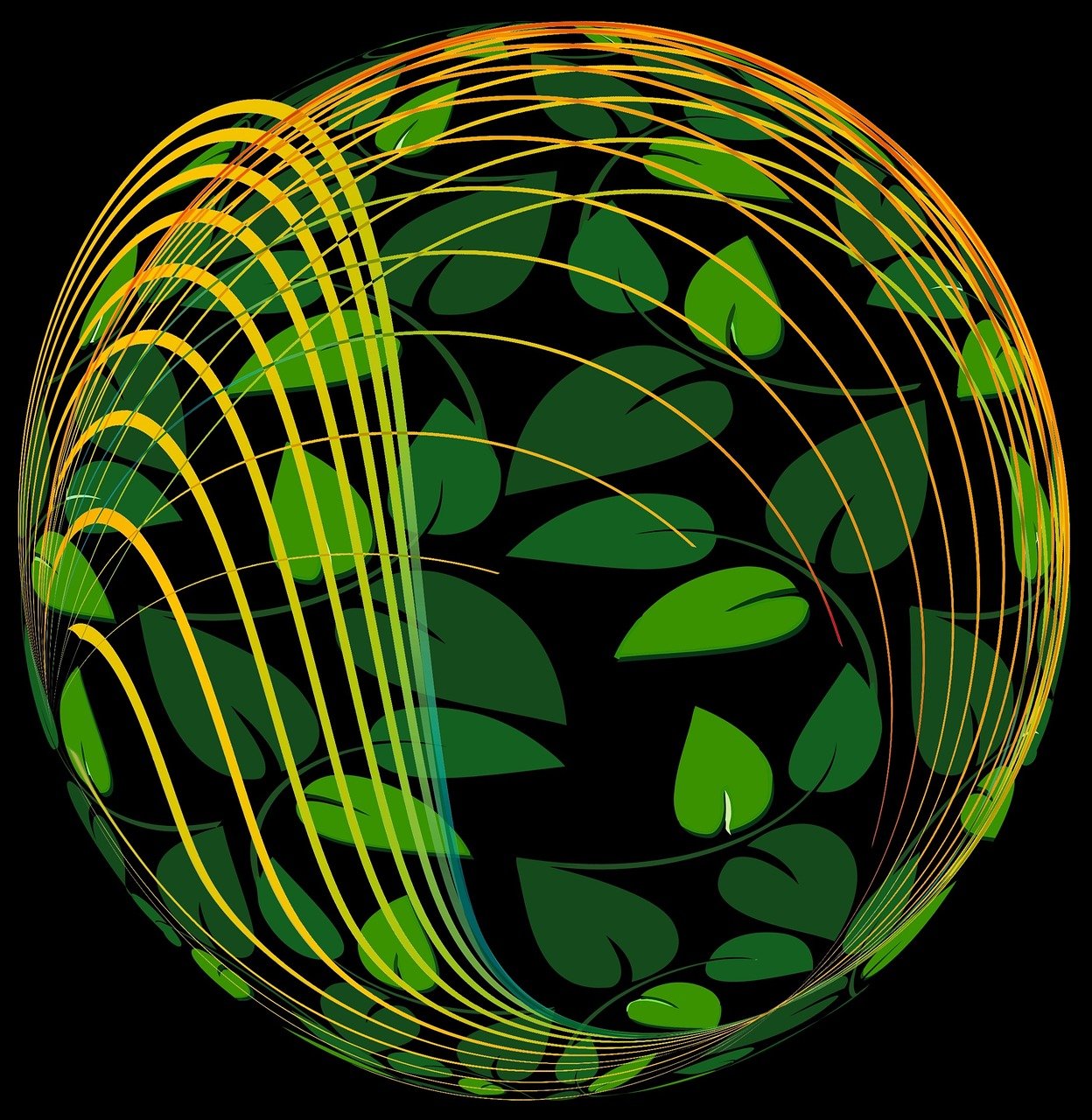 最新天气变化观察与影响分析