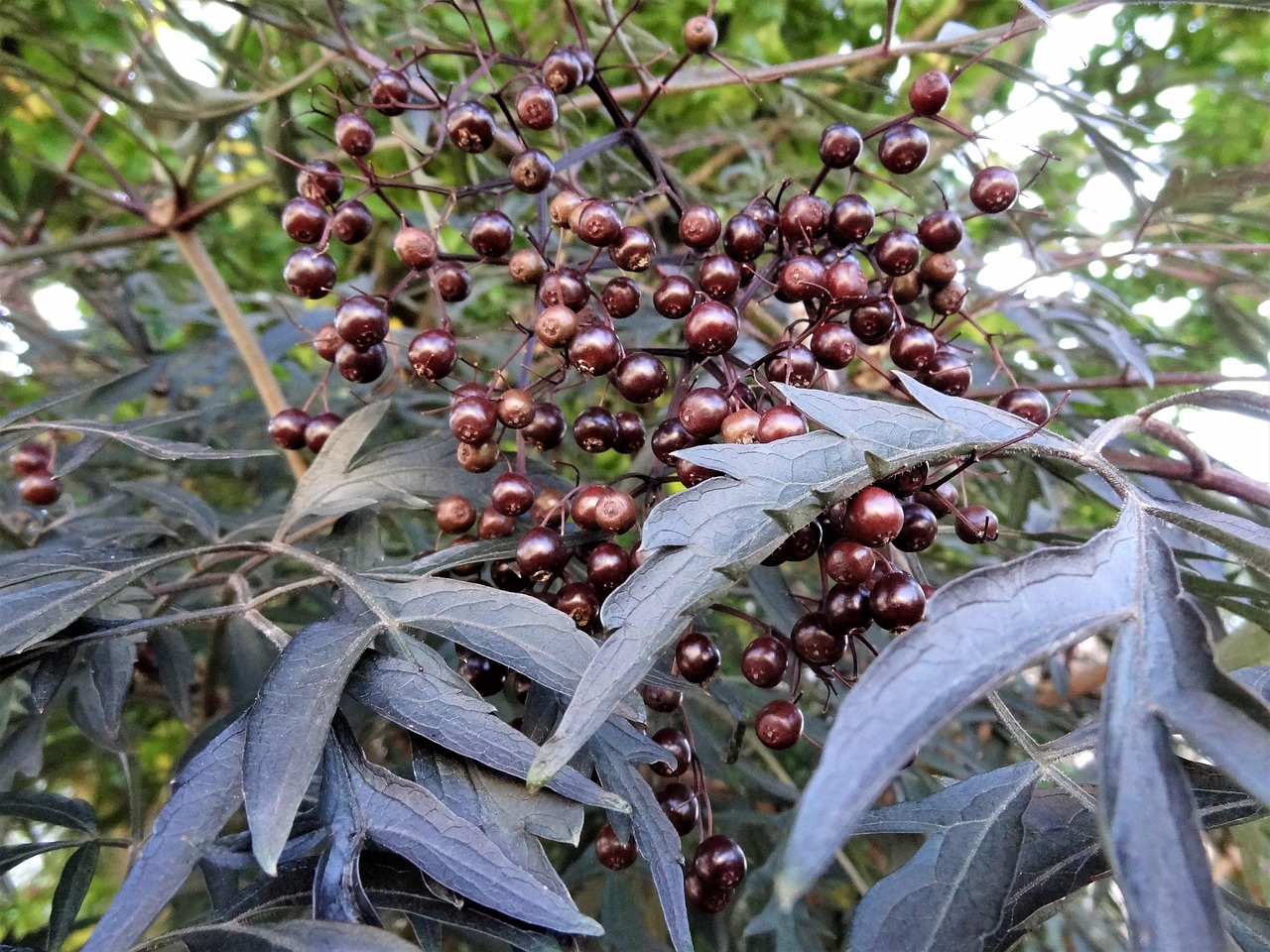 韩国瑜最新选情分析,最新动态与解读