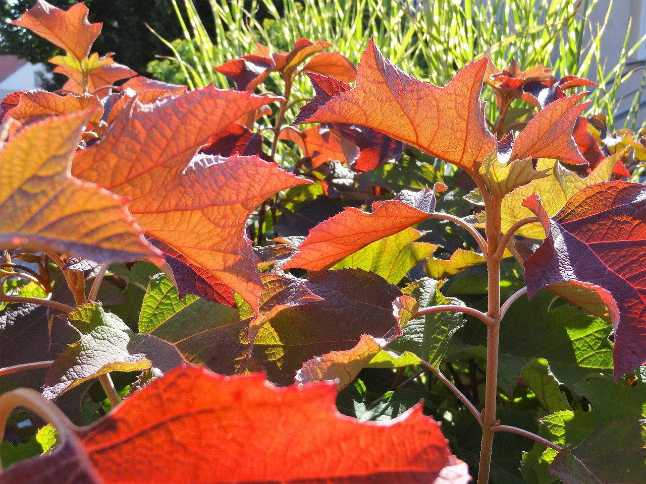 韩国瑜最新选情分析,最新动态与解读