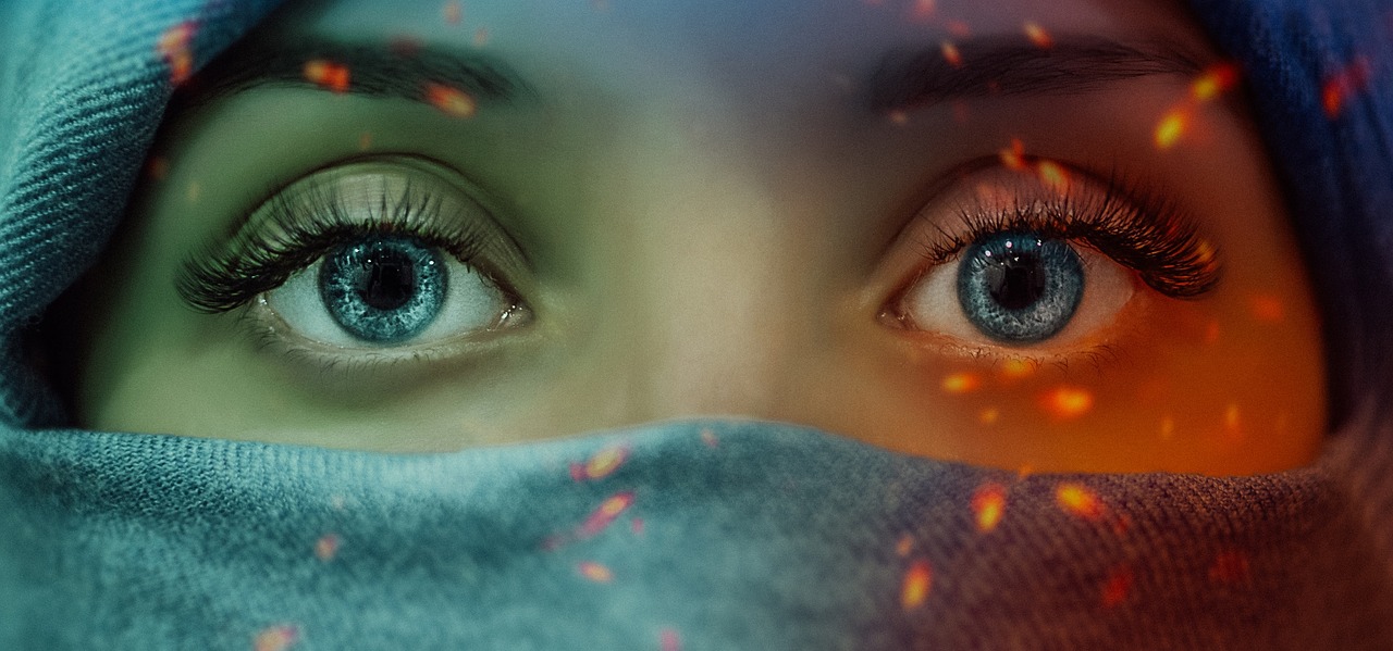 全国疫情最新动态，数据更新与防控策略调整查询