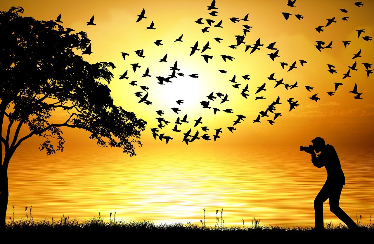 最新经典夜读，探索知识的乐趣，享受宁静之夜的美好时光