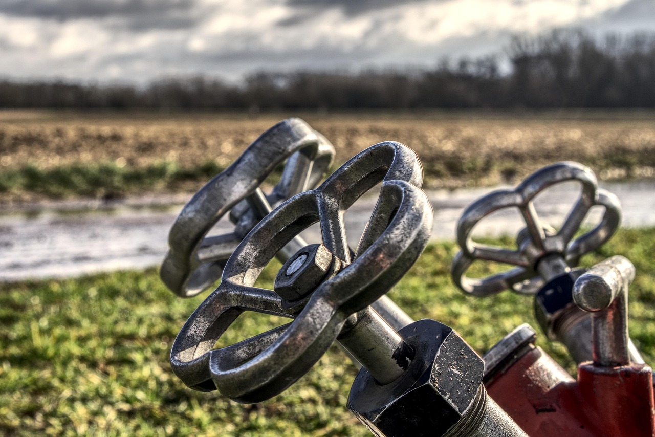 罗晋最新资料介绍，揭秘他的最新动态与成就