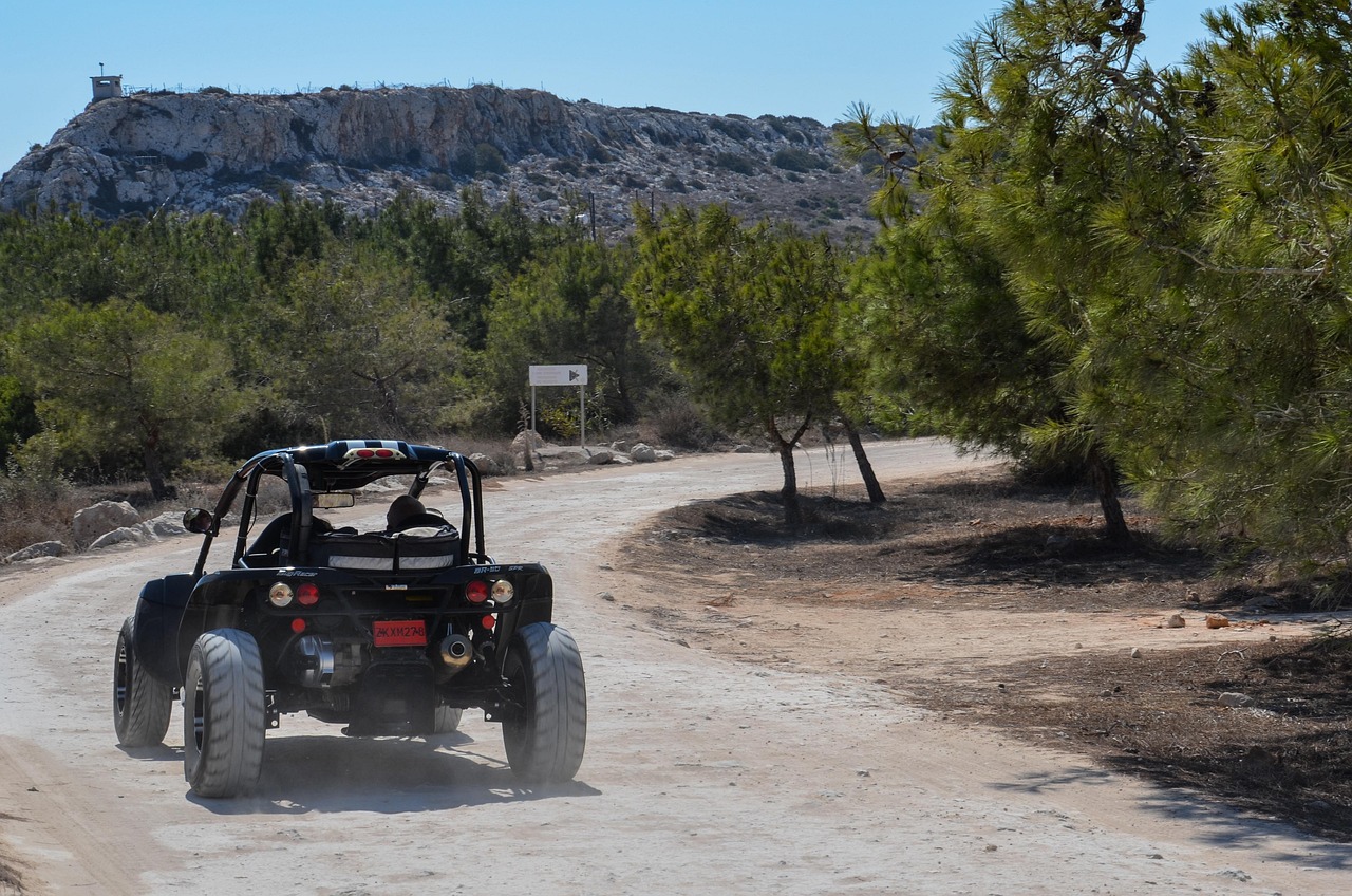 新疆老虎最新动态,生态恢复与保护成果显著