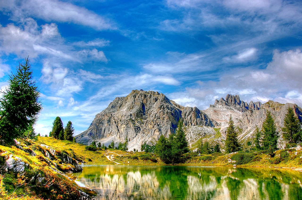 姚明最新回应,篮球巨星的最新动态与观点披露