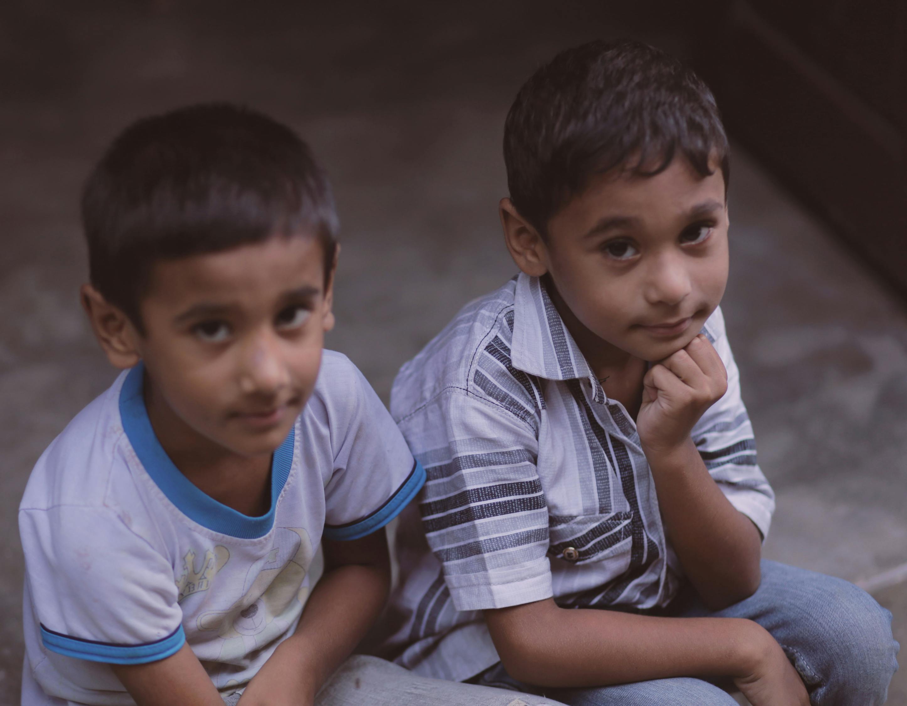 贺鹏最新电影，探索影视新境界的魅力