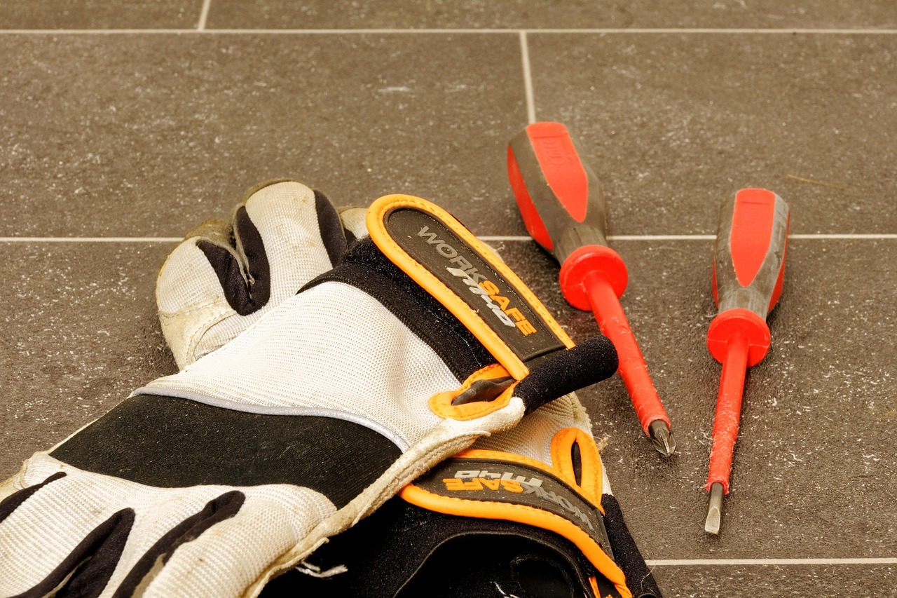 最新禽报网深度解析,行业动态、禽类健康与未来趋势展望展望