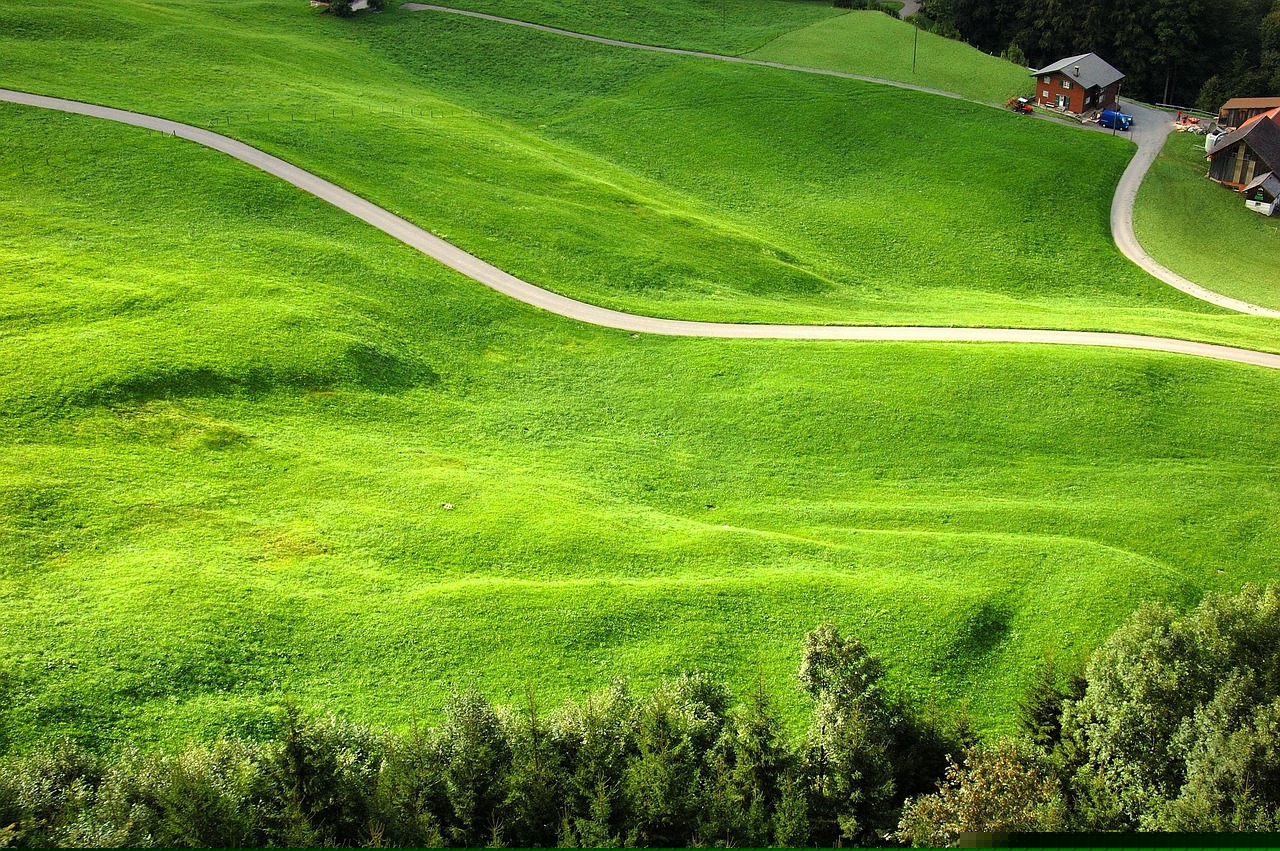 自然之力与生态之美，草留最新地的魅力与保护