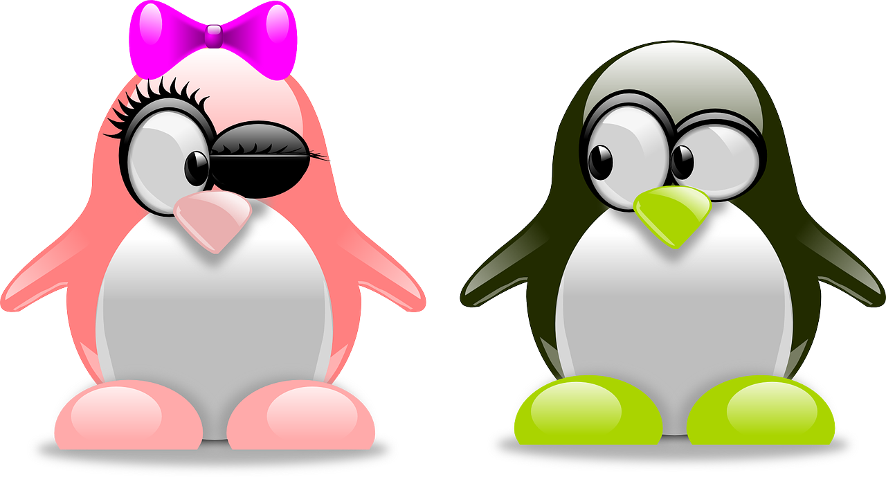 最新企鹅情头，时尚潮流中的情感表达新风尚