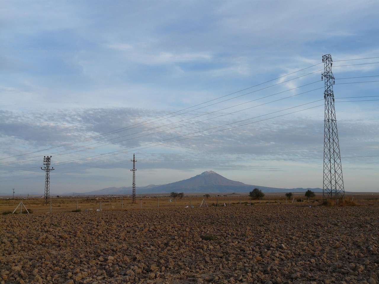 陆进贵最新动态与成就概览