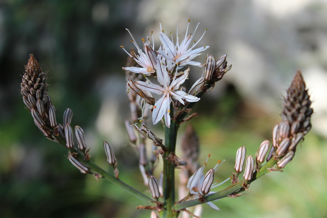 惠安最新病毒研究与探讨,深度解析病毒动态及应对策略