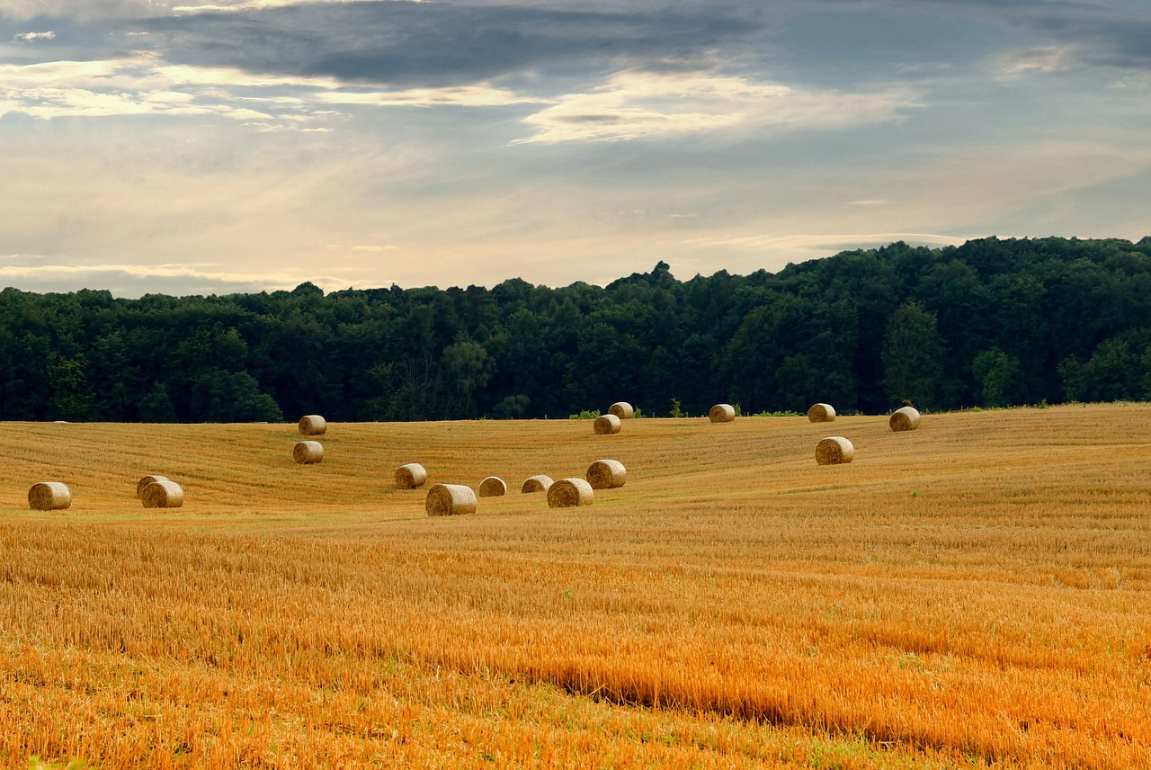全面禁捕最新规定，保护水域生态，促进可持续发展