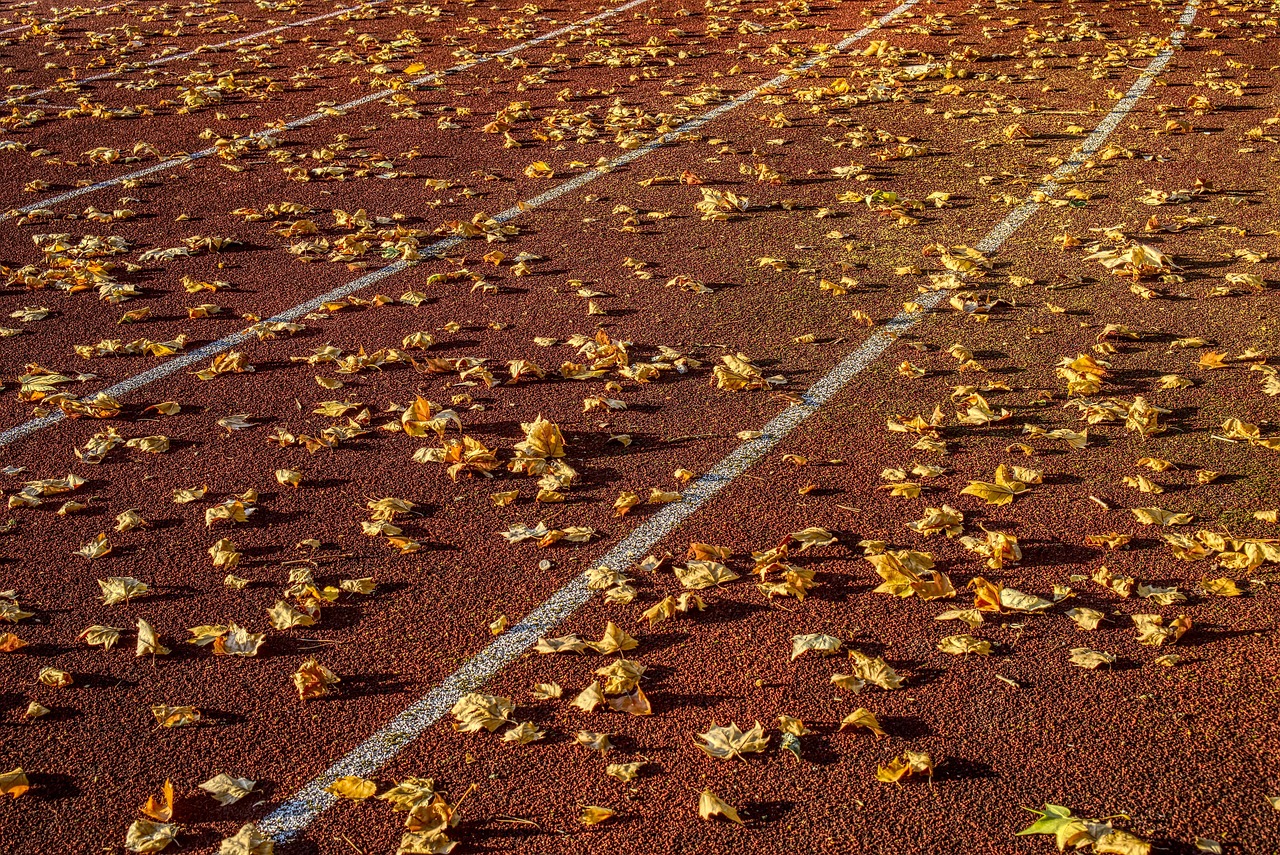 烟草行业最新动态，变革与公众健康的双重关注事件