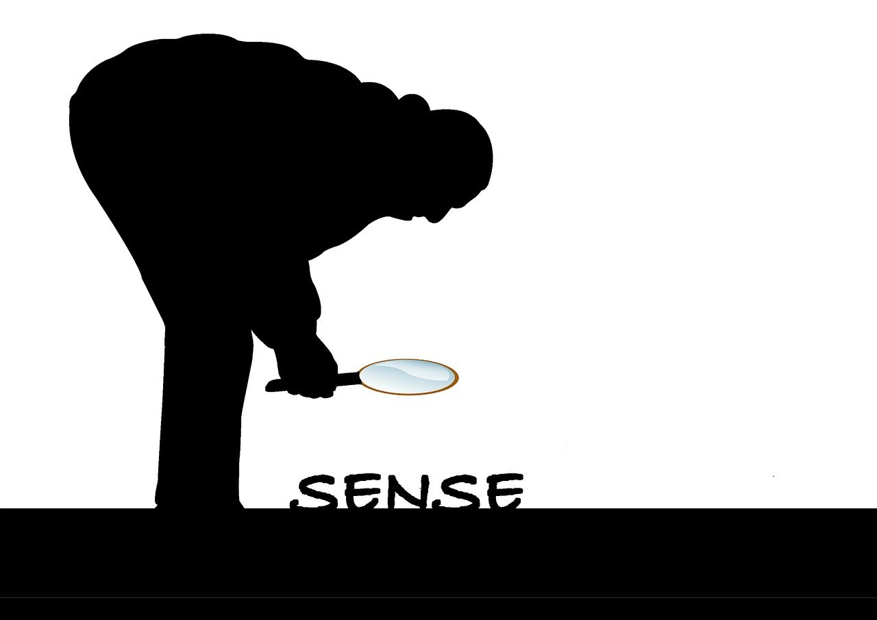 差错之中的最新探索与反思