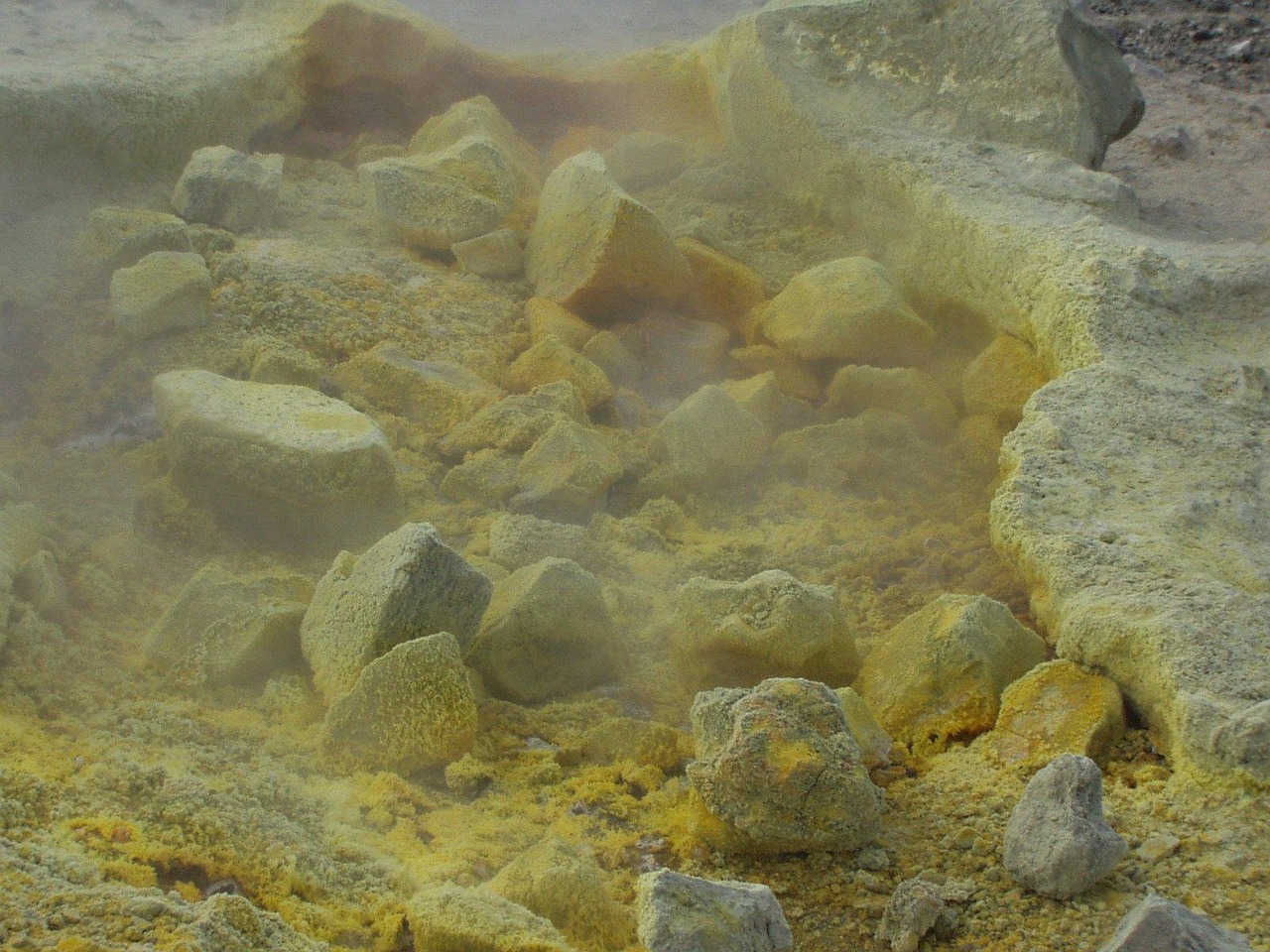 安徽最新拟任动态，新一轮人才布局引领地方发展