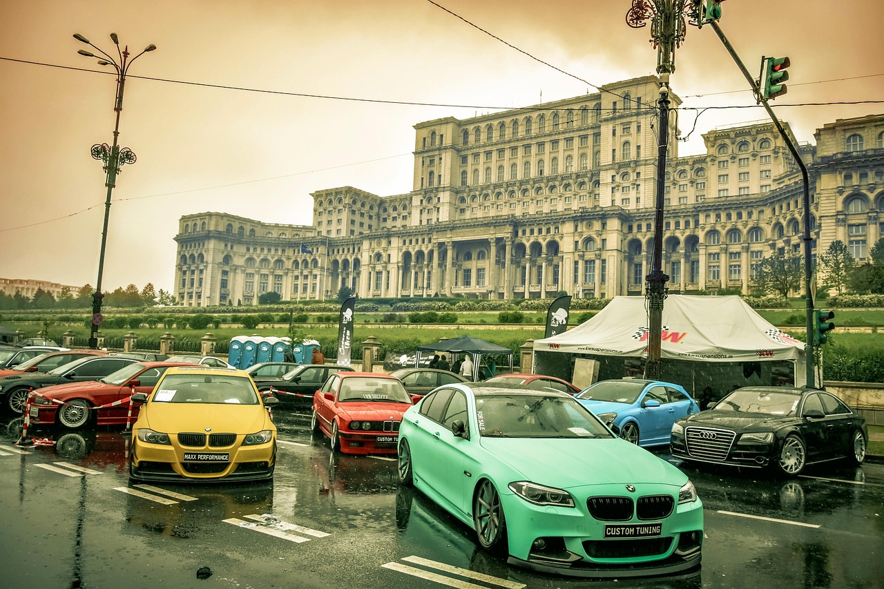 临沧最新事件概述，最新动态与事件分析