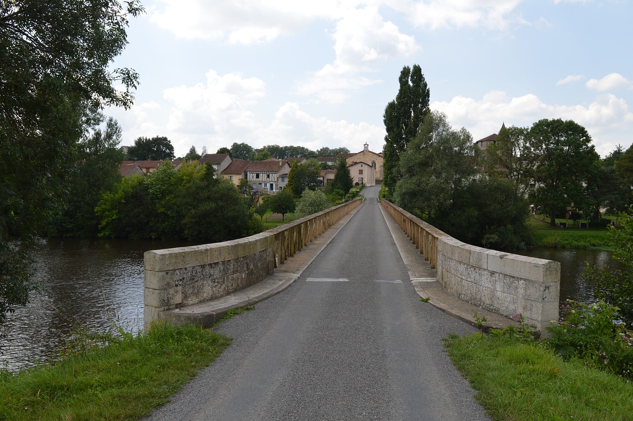 高露最新动态,绽放的光芒与未来展望