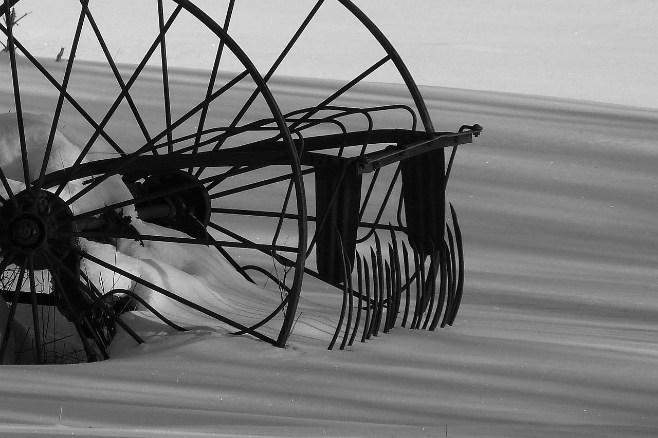 探影最新资讯,电影产业前沿动态与前瞻