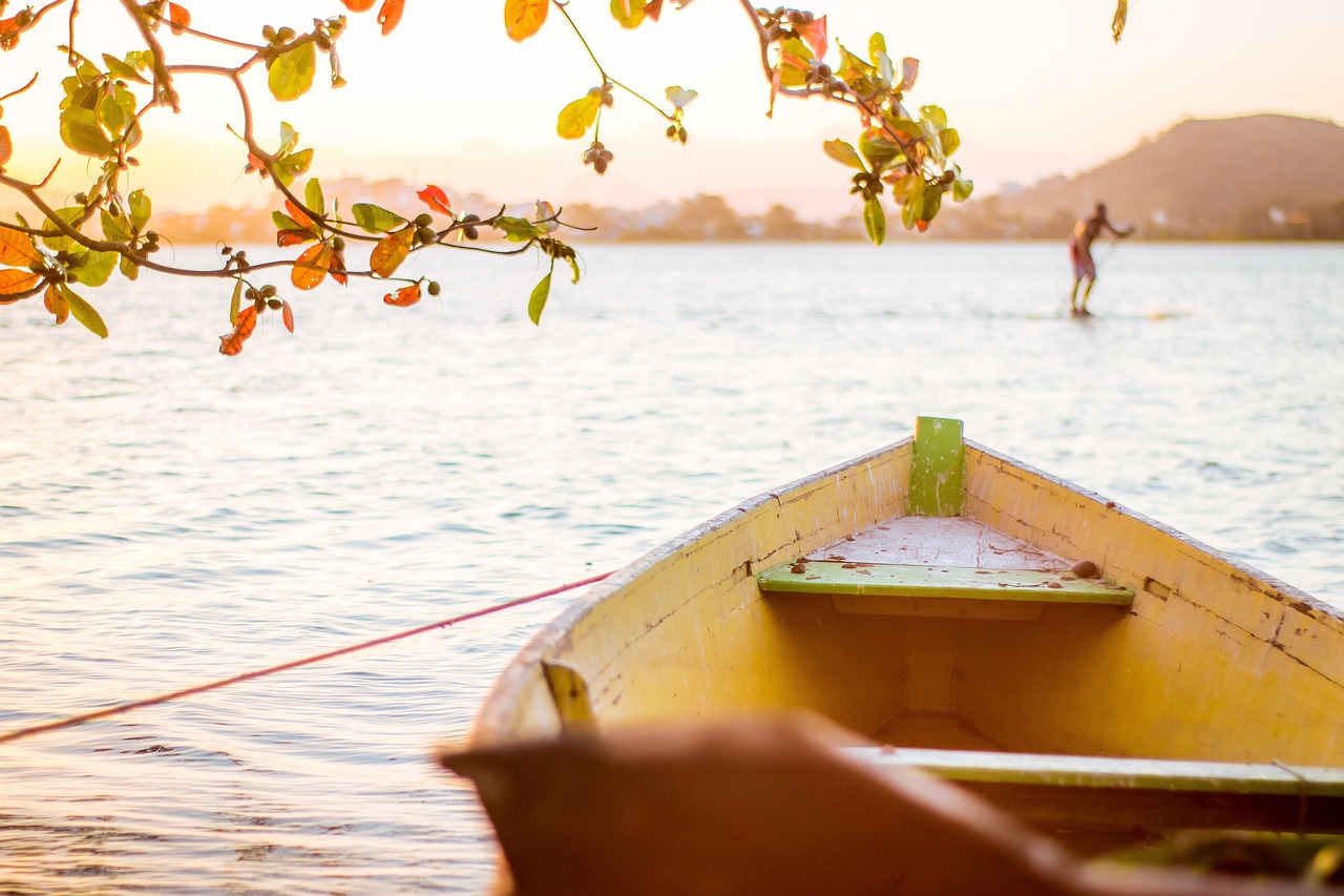 探影最新资讯,电影产业前沿动态与前瞻