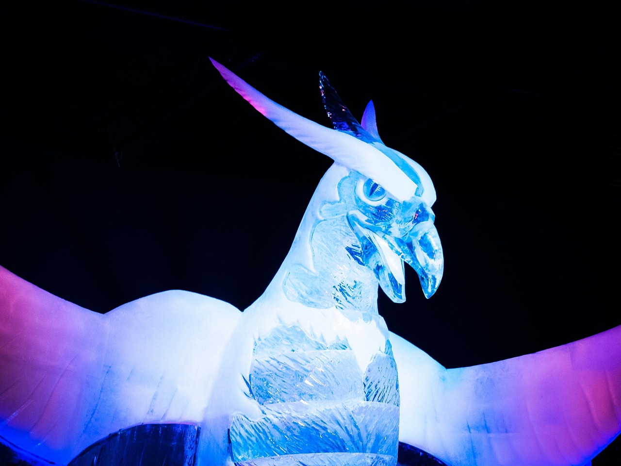 郡司桑最新动态,展现时代潮流与无限魅力