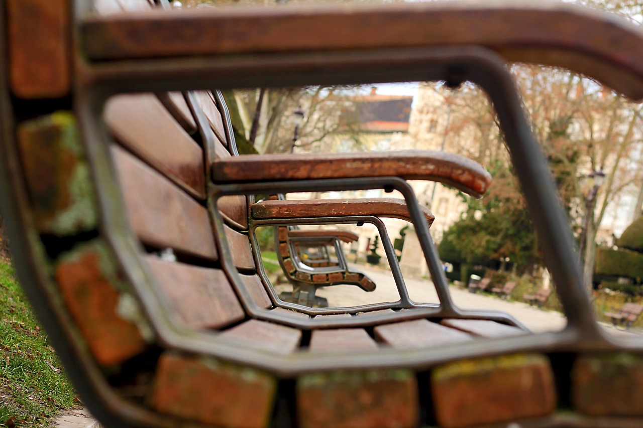 黄贝岭最新动态，城市更新与社区发展活力同步提升