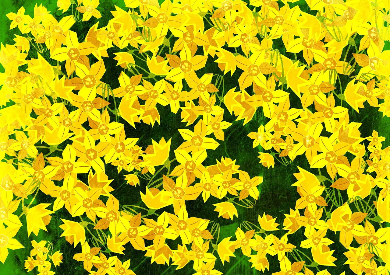 最新花卉摄影，展现自然之美的艺术风采