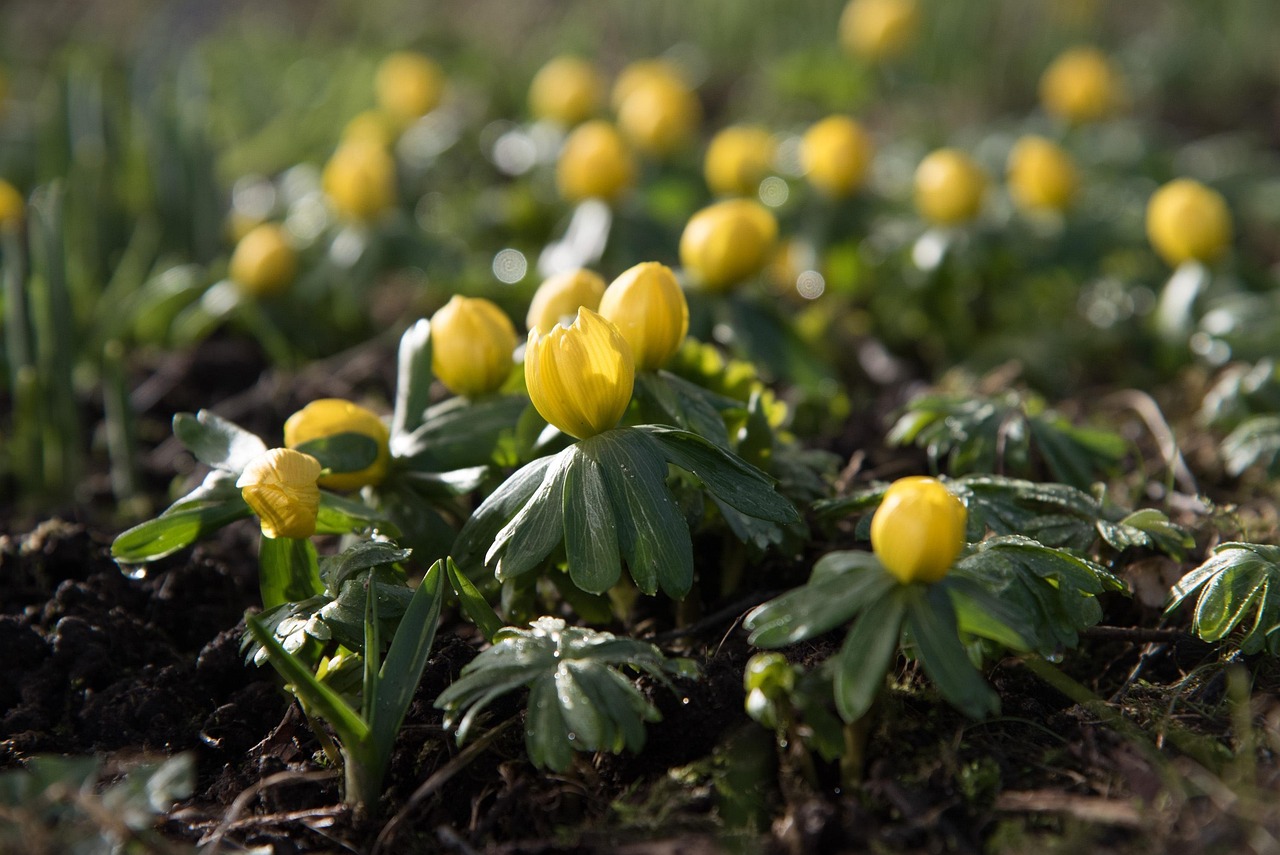 日照最新天气预报更新,实时掌握天气动态