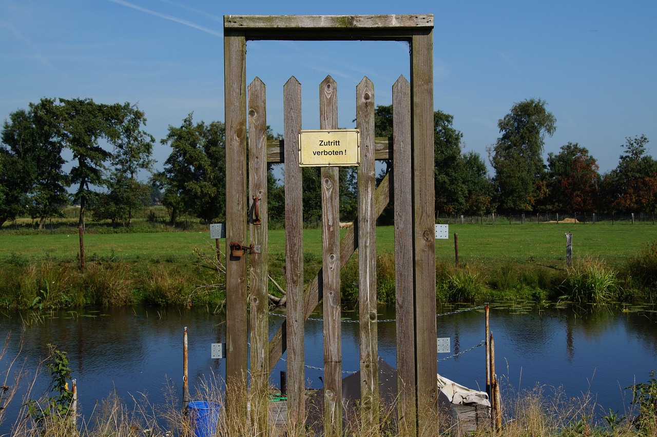 金河谷五期最新价格动态与深度分析