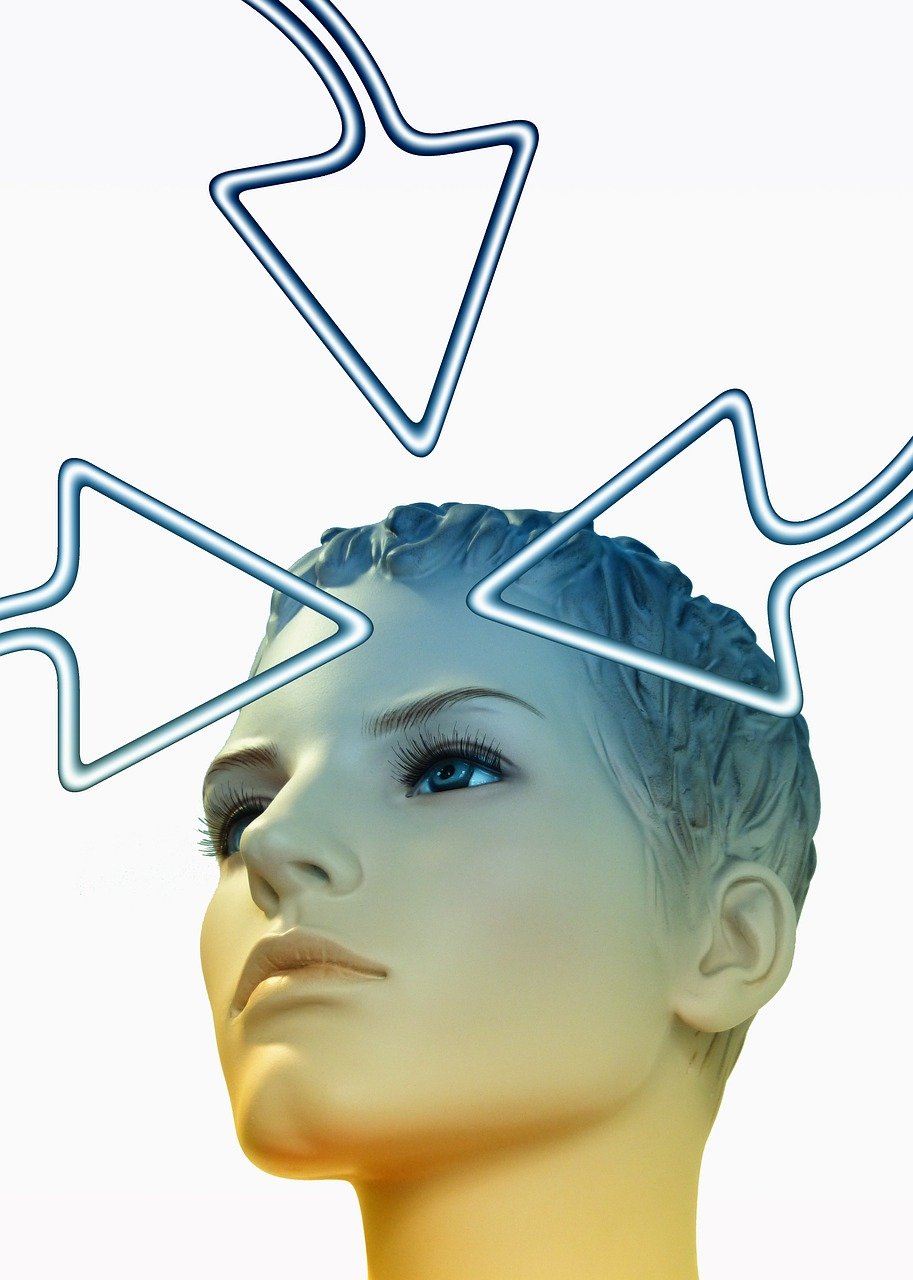 今日羊肉价格动态,市场走势、影响因素与未来趋势深度解析