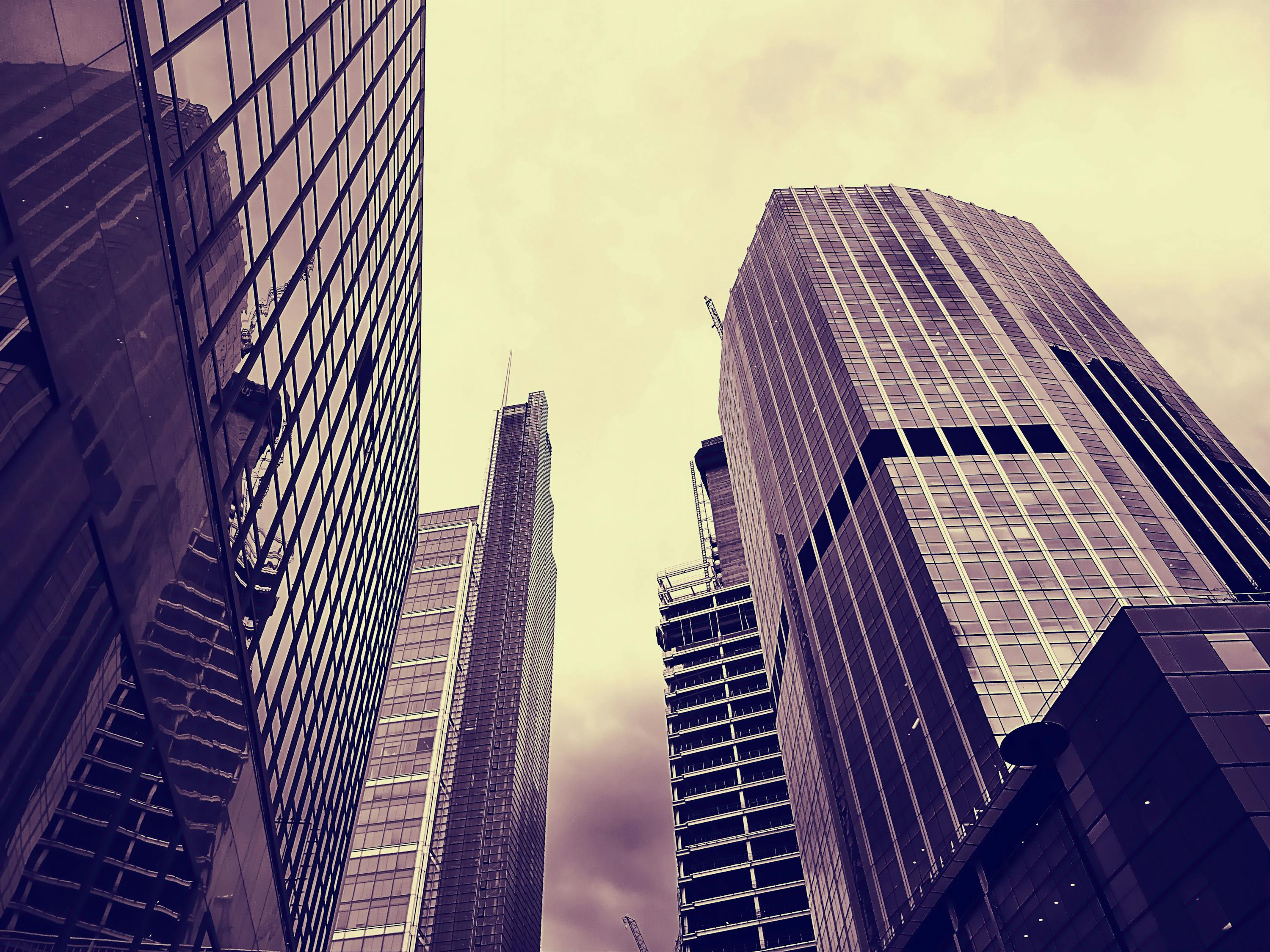 资阳沱东新区,城市发展的蓬勃新动力,最新资讯一览