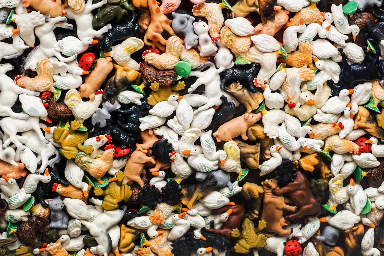 挂鸡王比赛,别开生面的竞技盛宴